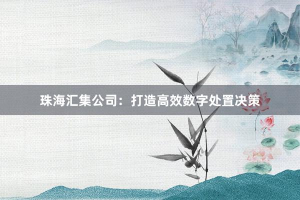 珠海汇集公司：打造高效数字处置决策